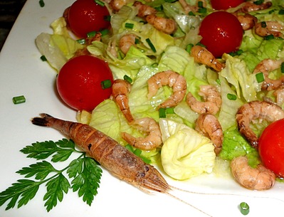 Salade de Laitue aux Crevettes grises et au Miel